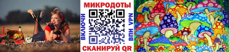 купить  сайты  Белый  Галлюциногенные грибы мицелий 